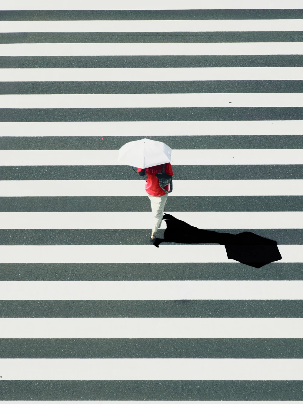 A person in a red top carrying a white umbrella across a striped pedestrian crossing, with a long shadow.