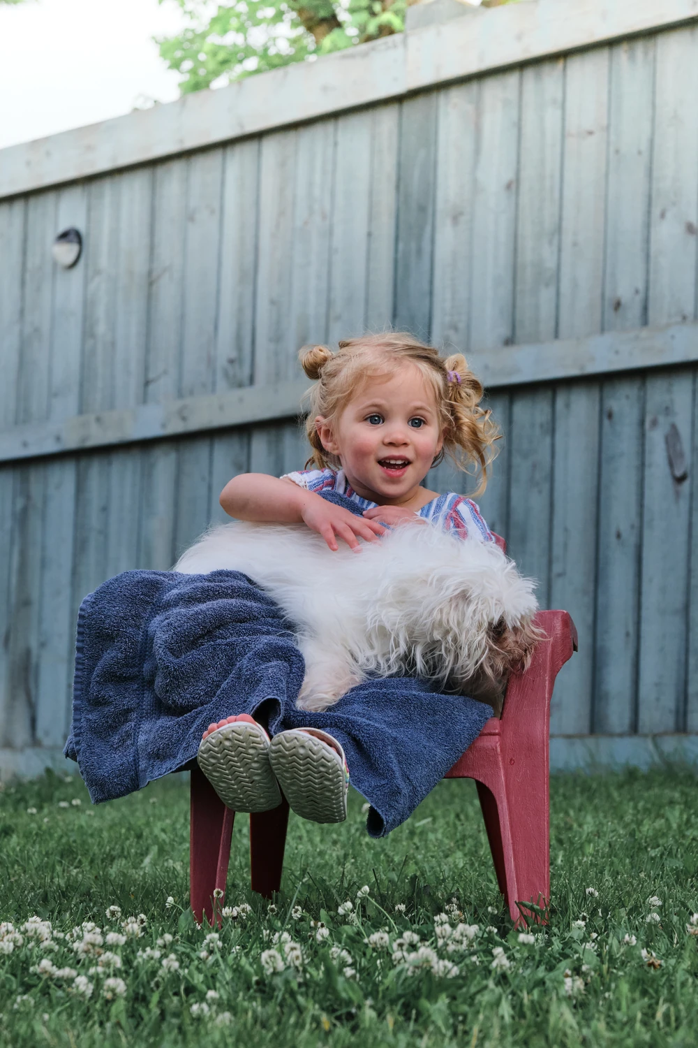 A smiling little girl sitting in a small chair with a white dog in her lap.
